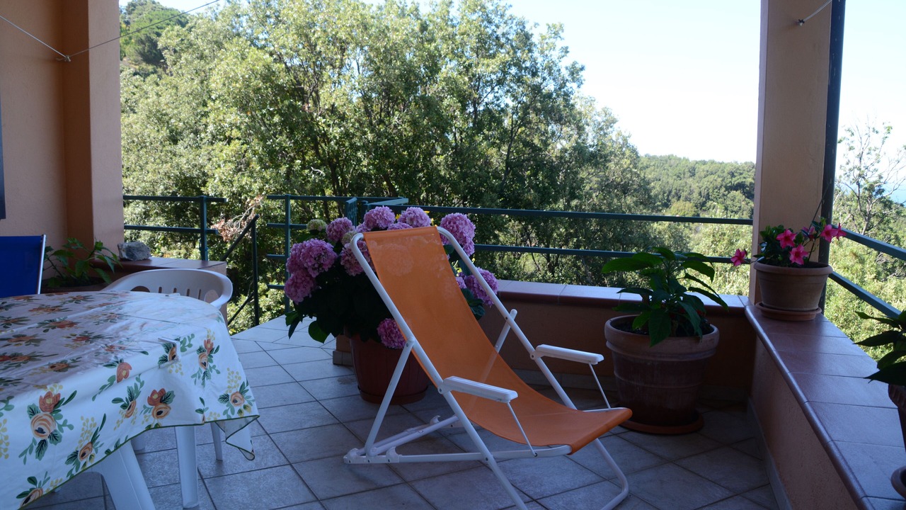 Photo of Outdoor in Marciana