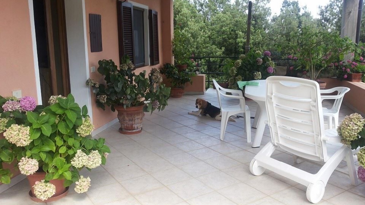Photo of Outdoor in Marciana