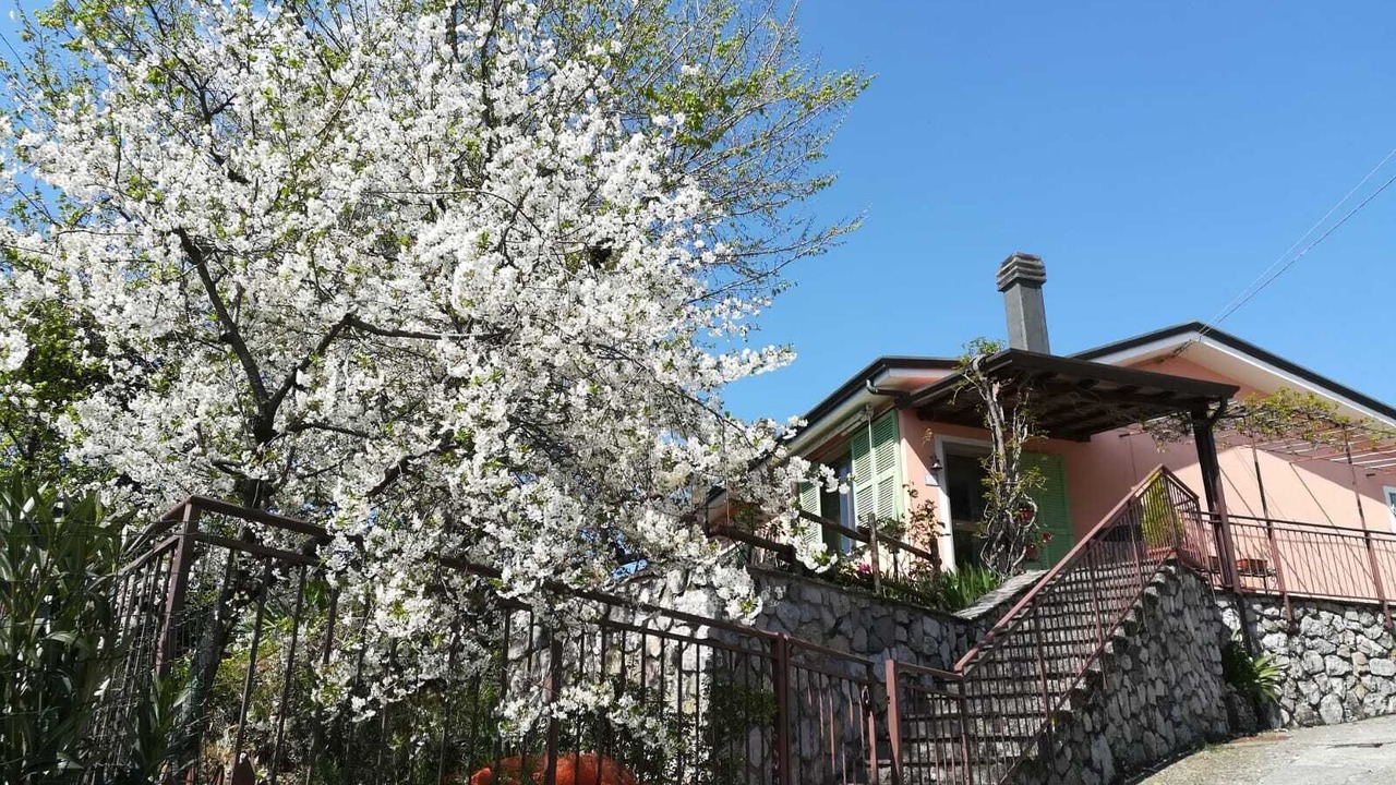 Photo of Outdoor in Fosdinovo