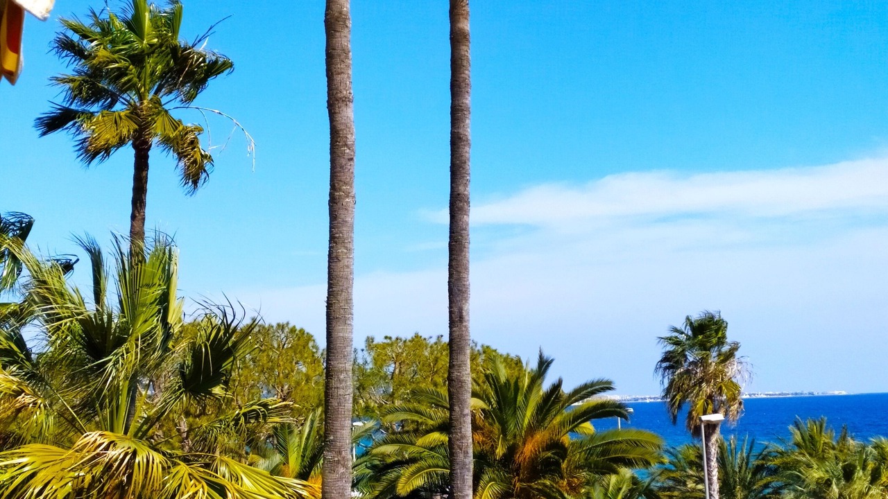 Photo of Outdoor in Cannes La Bocca