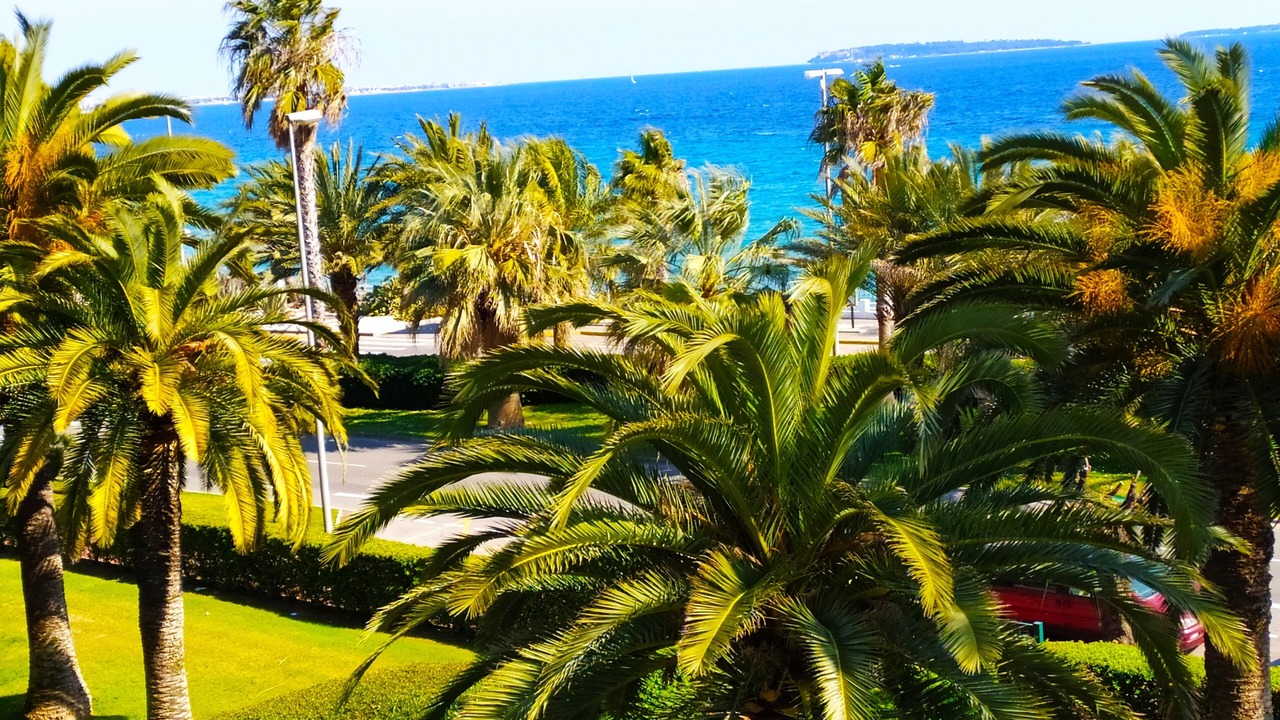 Photo of Outdoor in Cannes La Bocca