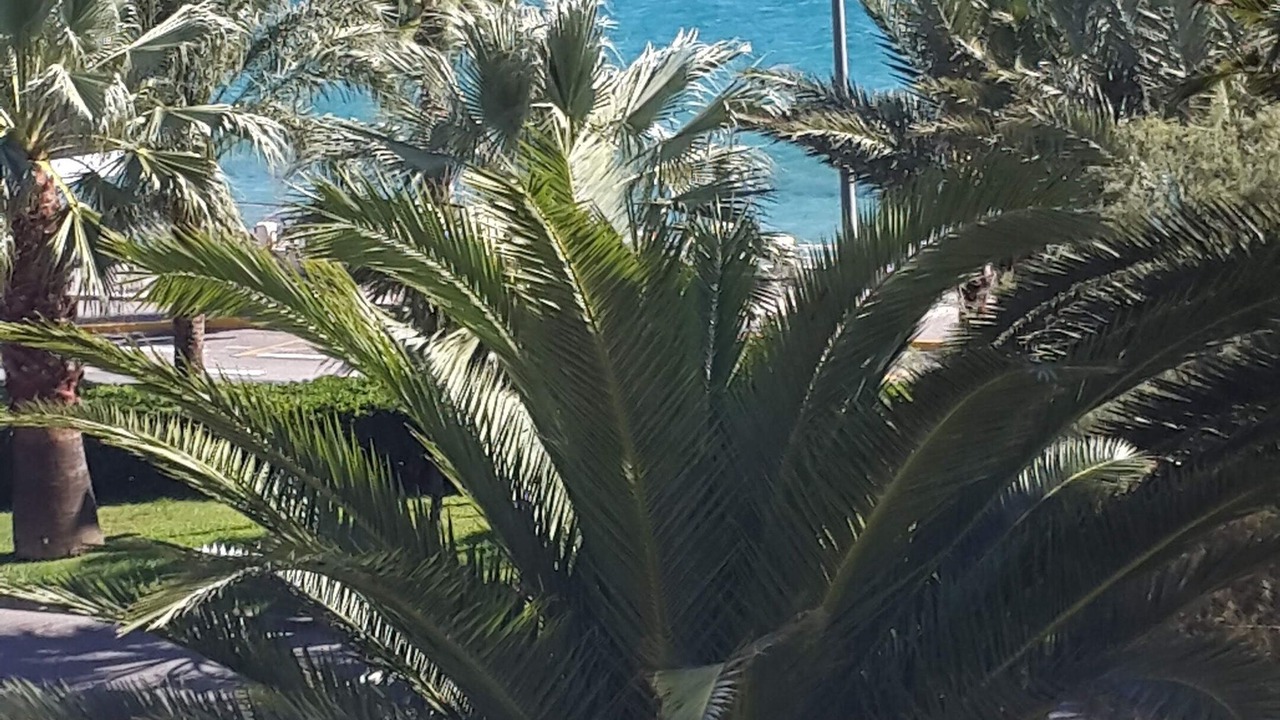 Photo of Others in Cannes La Bocca