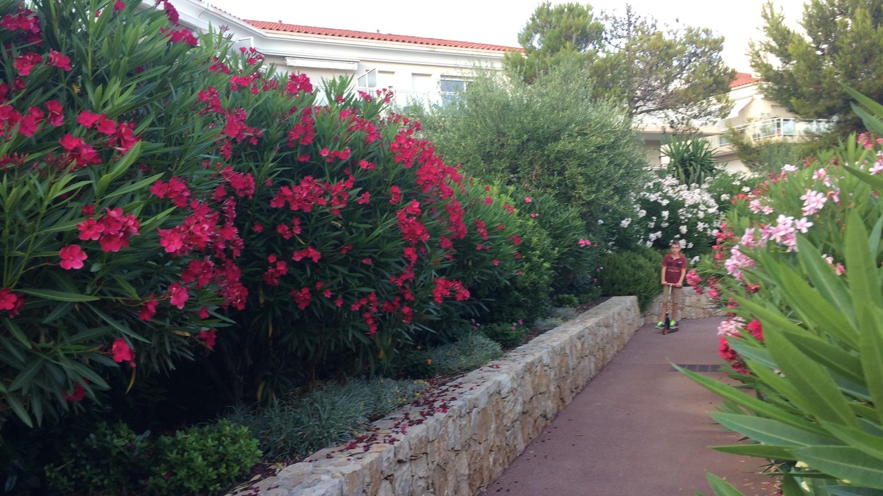 Photo of Outdoor in Antibes