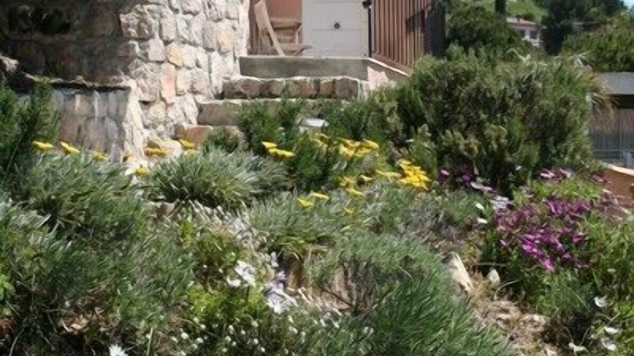 Photo of Outdoor in Eze