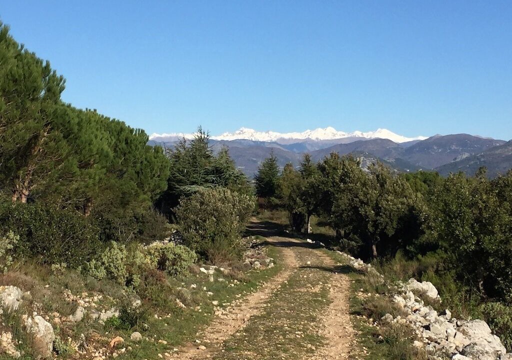Photo of Outdoor in Eze