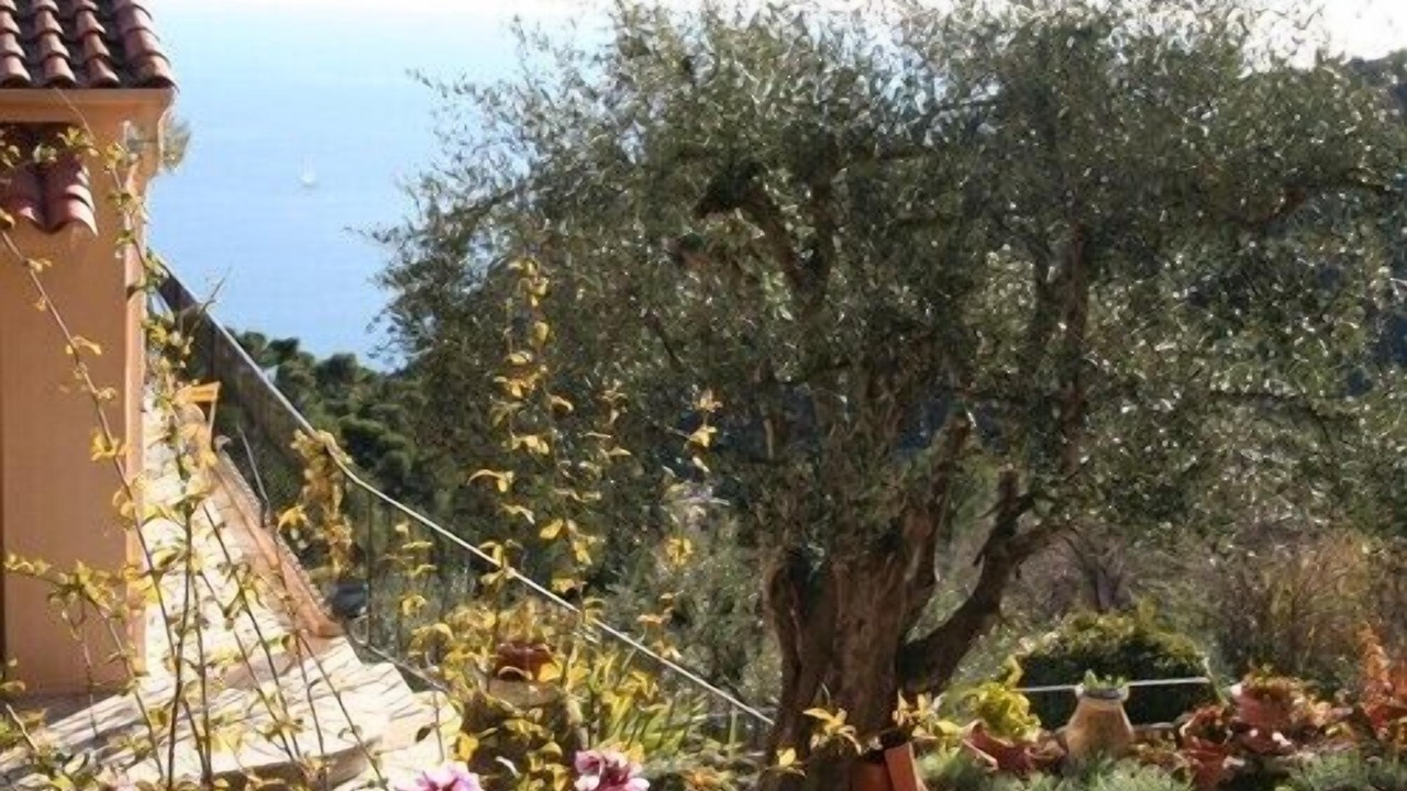 Photo of Outdoor in Eze