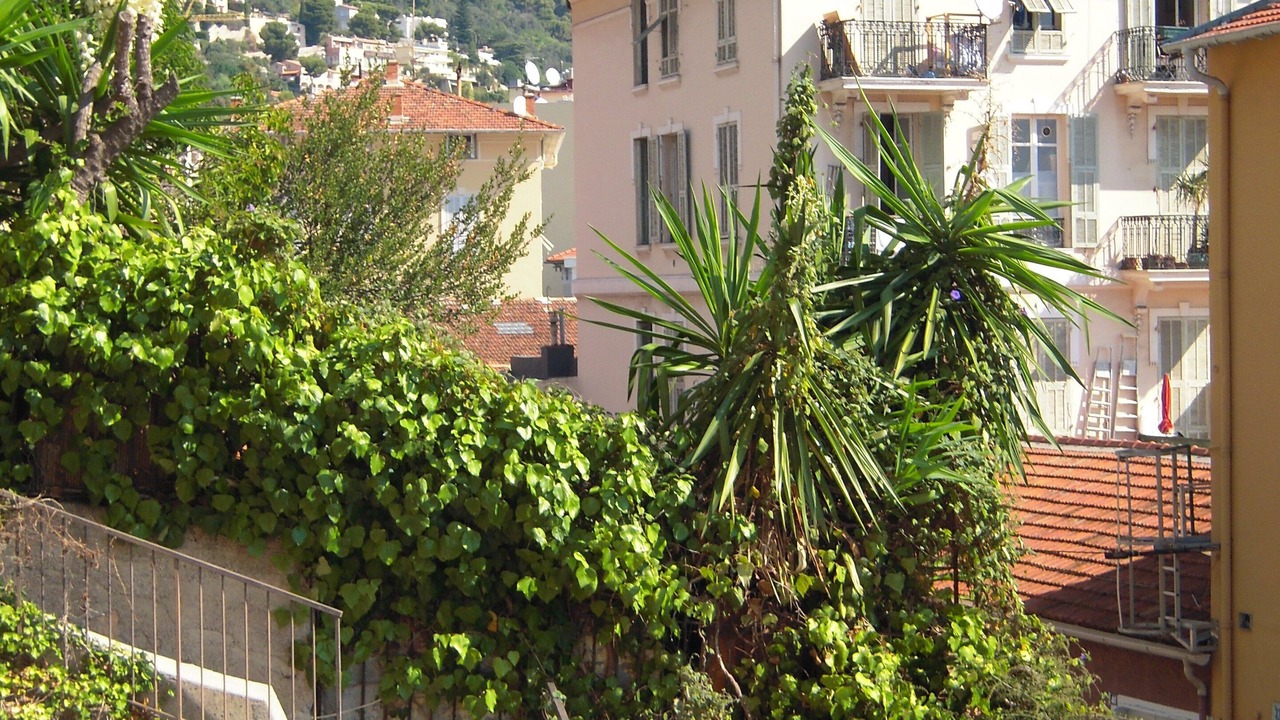 Photo of Outdoor in Beaulieu-sur-Mer