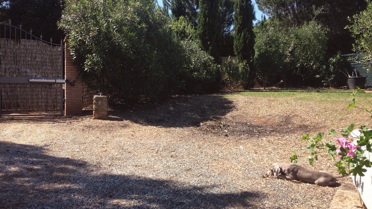 Photo of Outdoor in Casale Marittimo