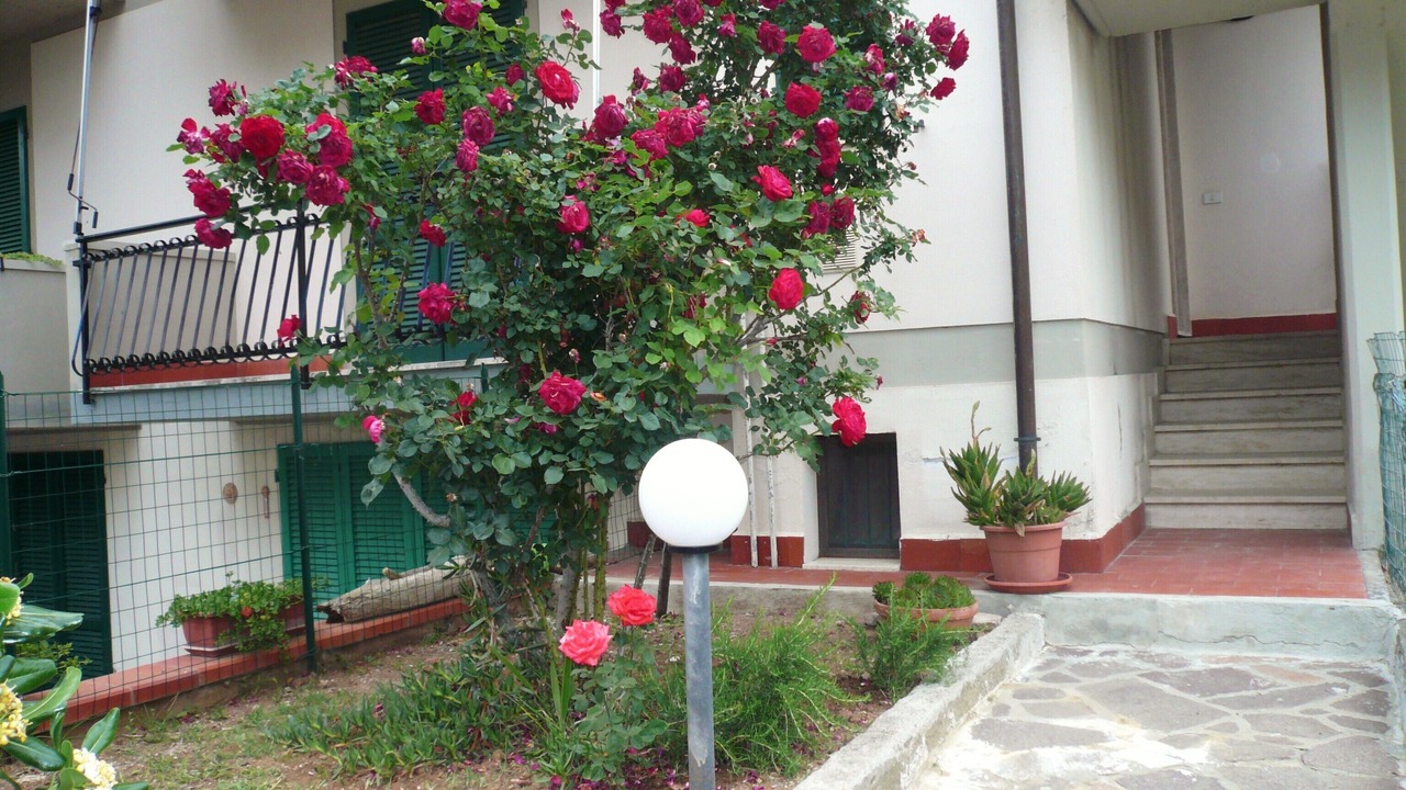Photo of Outdoor in Castiglioncello