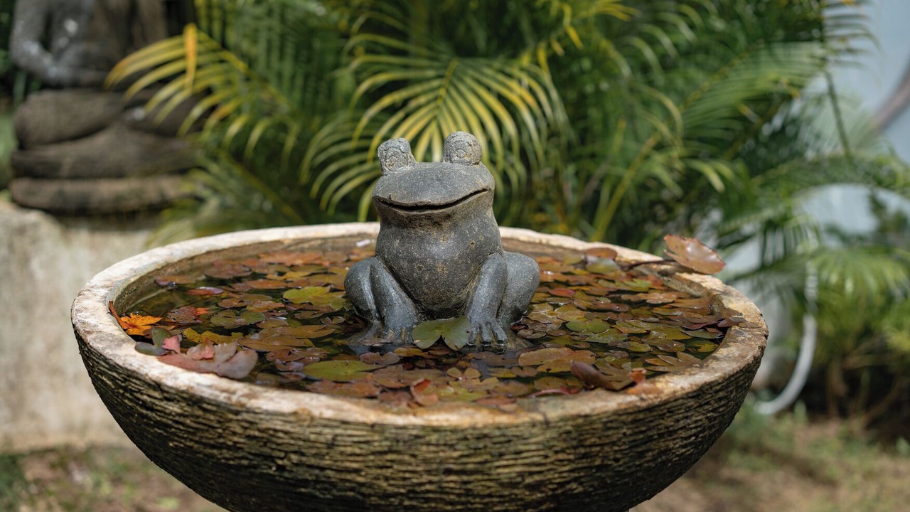 Photo of Outdoor in Jungut Batu