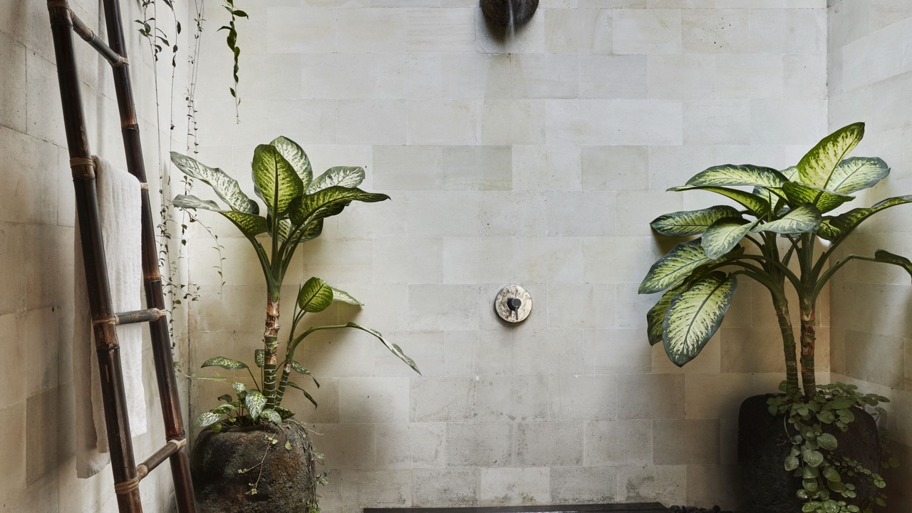 Photo of Bathroom in Payangan