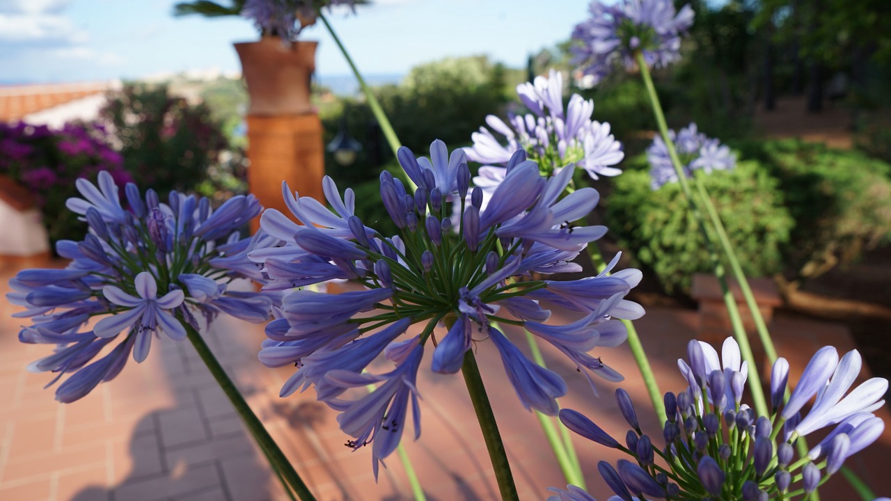 Photo of Outdoor in Porto Azzurro