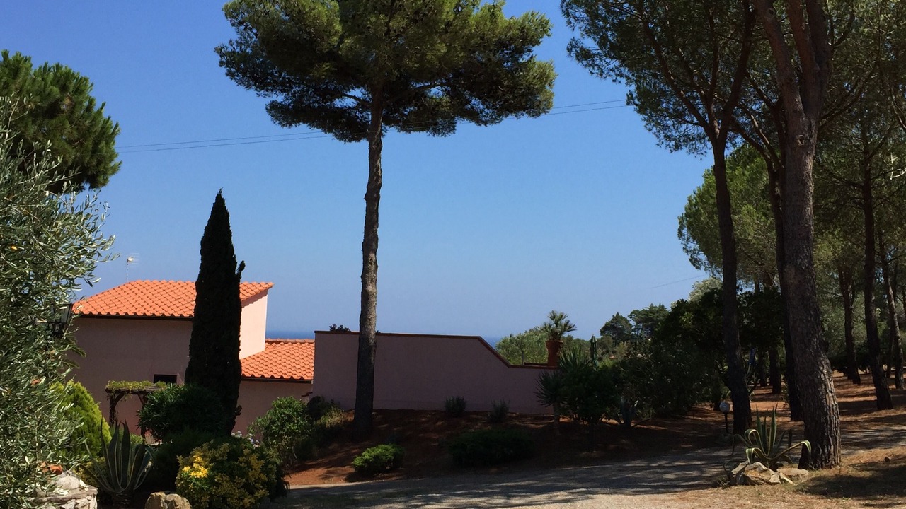 Photo of Outdoor in Porto Azzurro