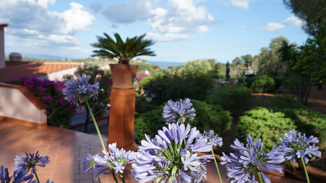 Photo of Outdoor in Porto Azzurro