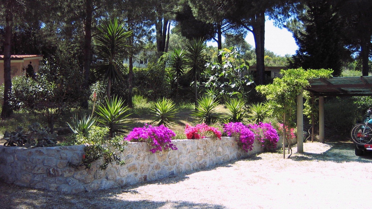 Photo of Outdoor in Porto Azzurro