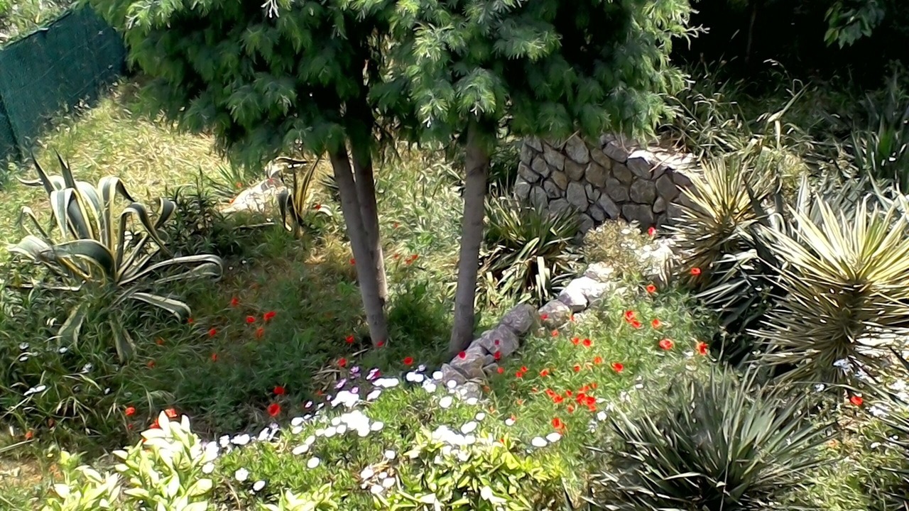 Photo of Outdoor in Mandelieu-La-Napoule