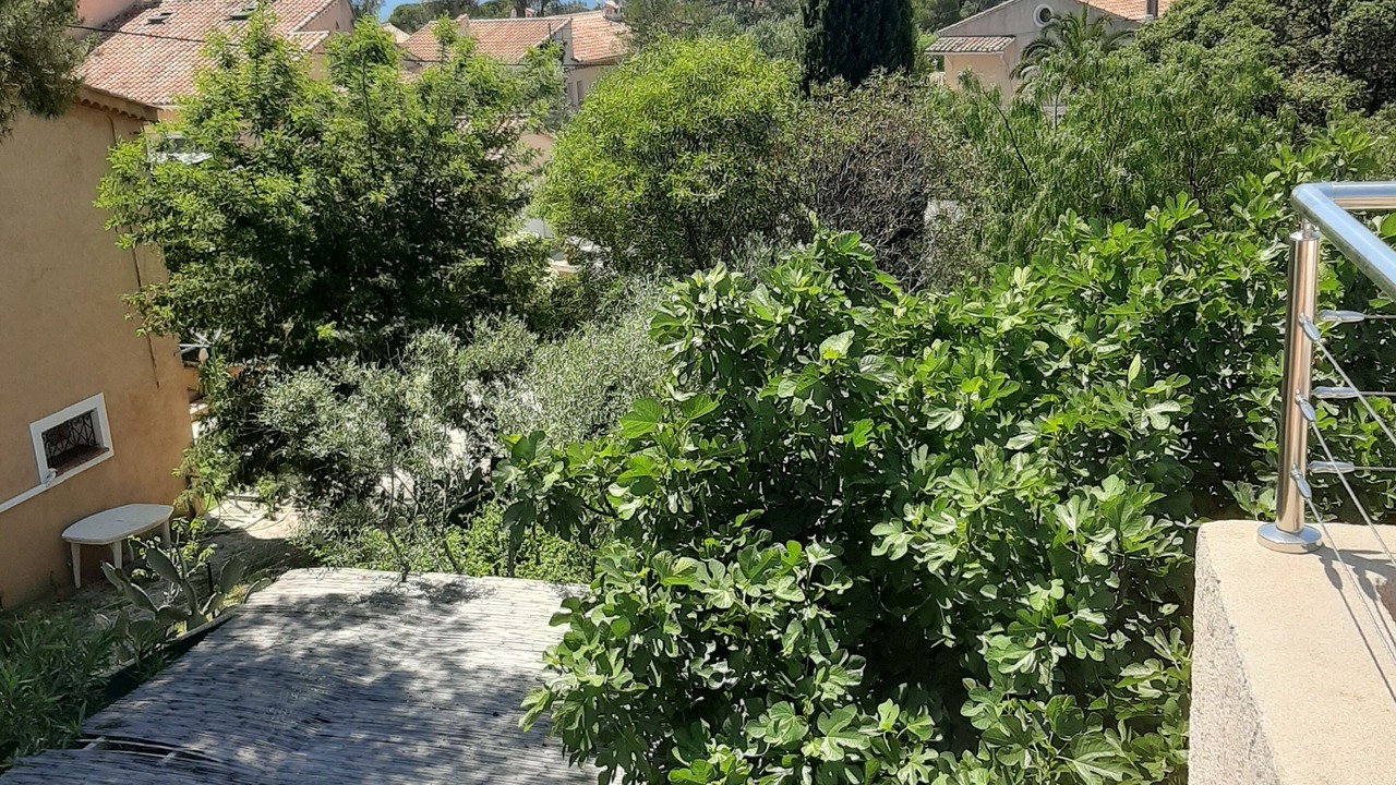 Photo of Outdoor in Saint-Raphael