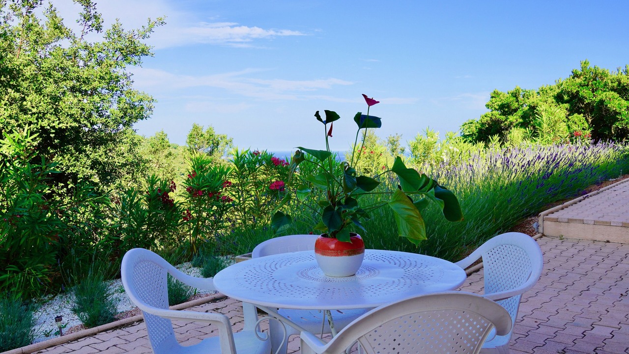 Photo of Outdoor in Saint-Raphael