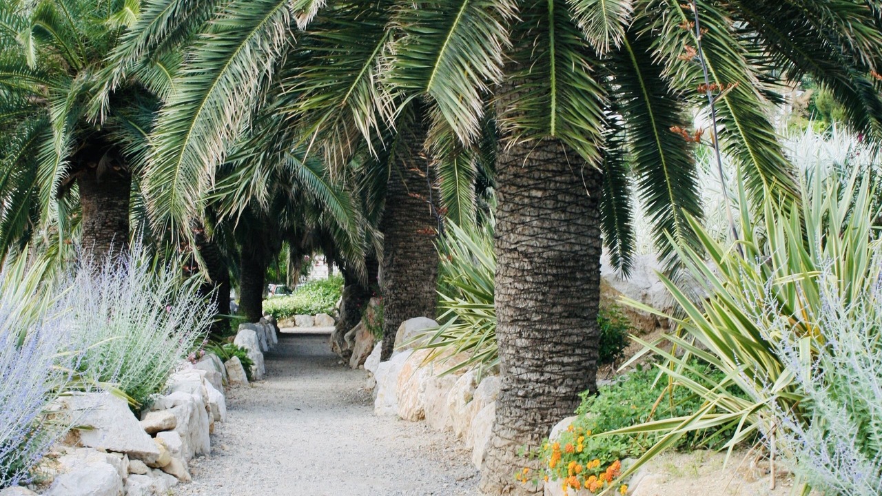 Photo of Others in Beaulieu-sur-Mer