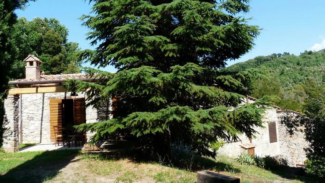 Photo of Outdoor in Pomaia