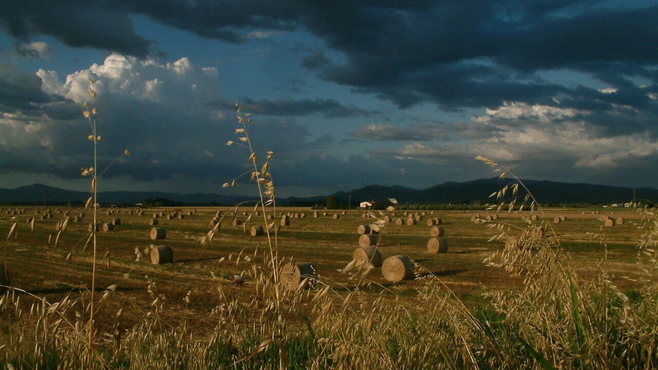 Photo of Outdoor in Buriano