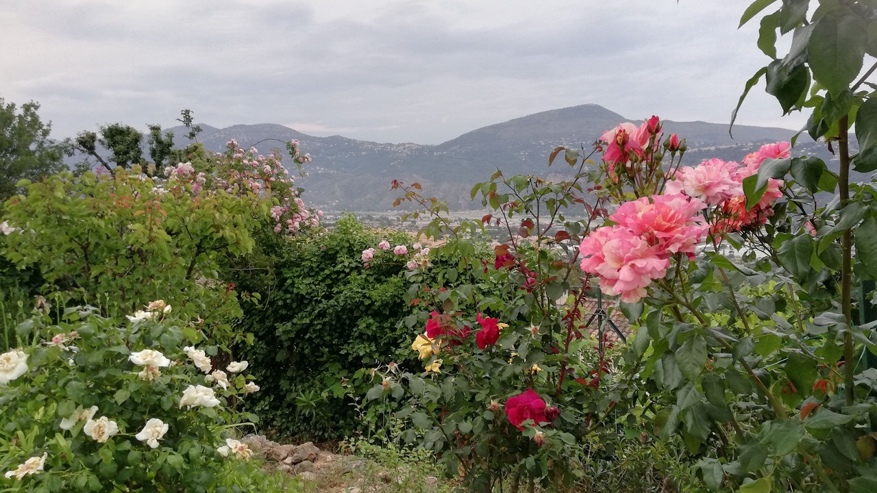 Photo of Outdoor in Gattieres