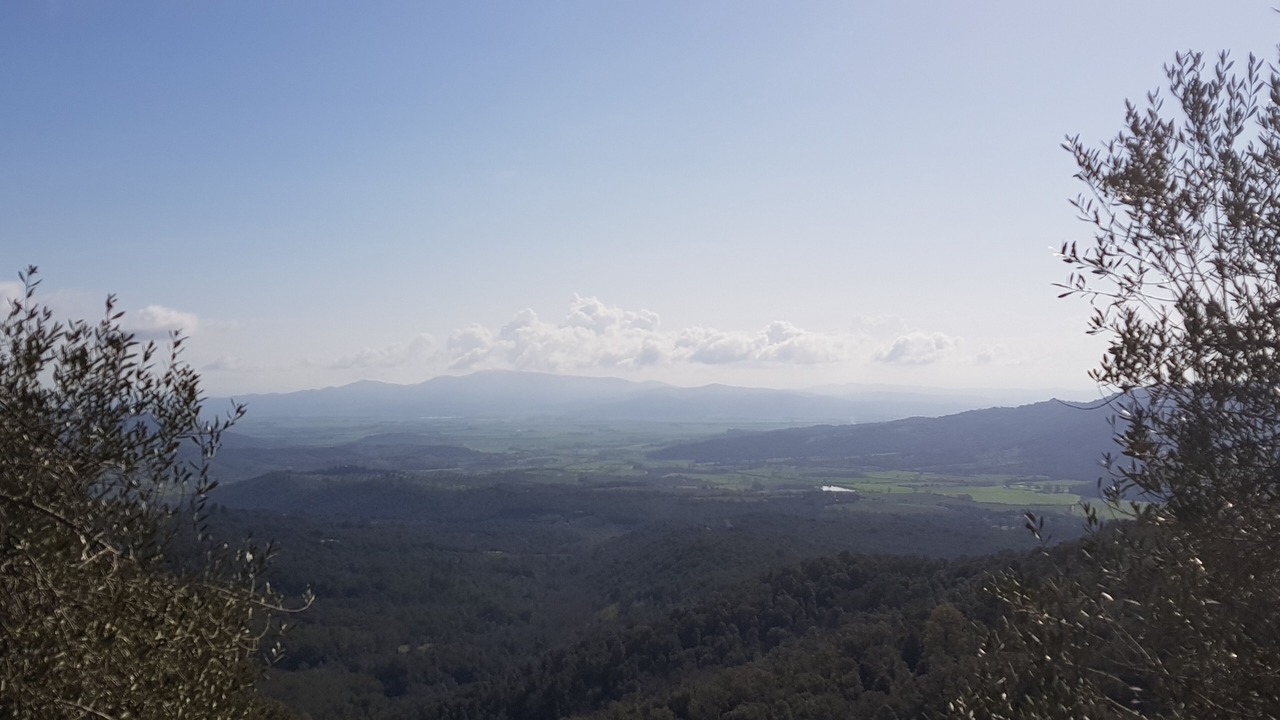 Photo of Others in Caldana