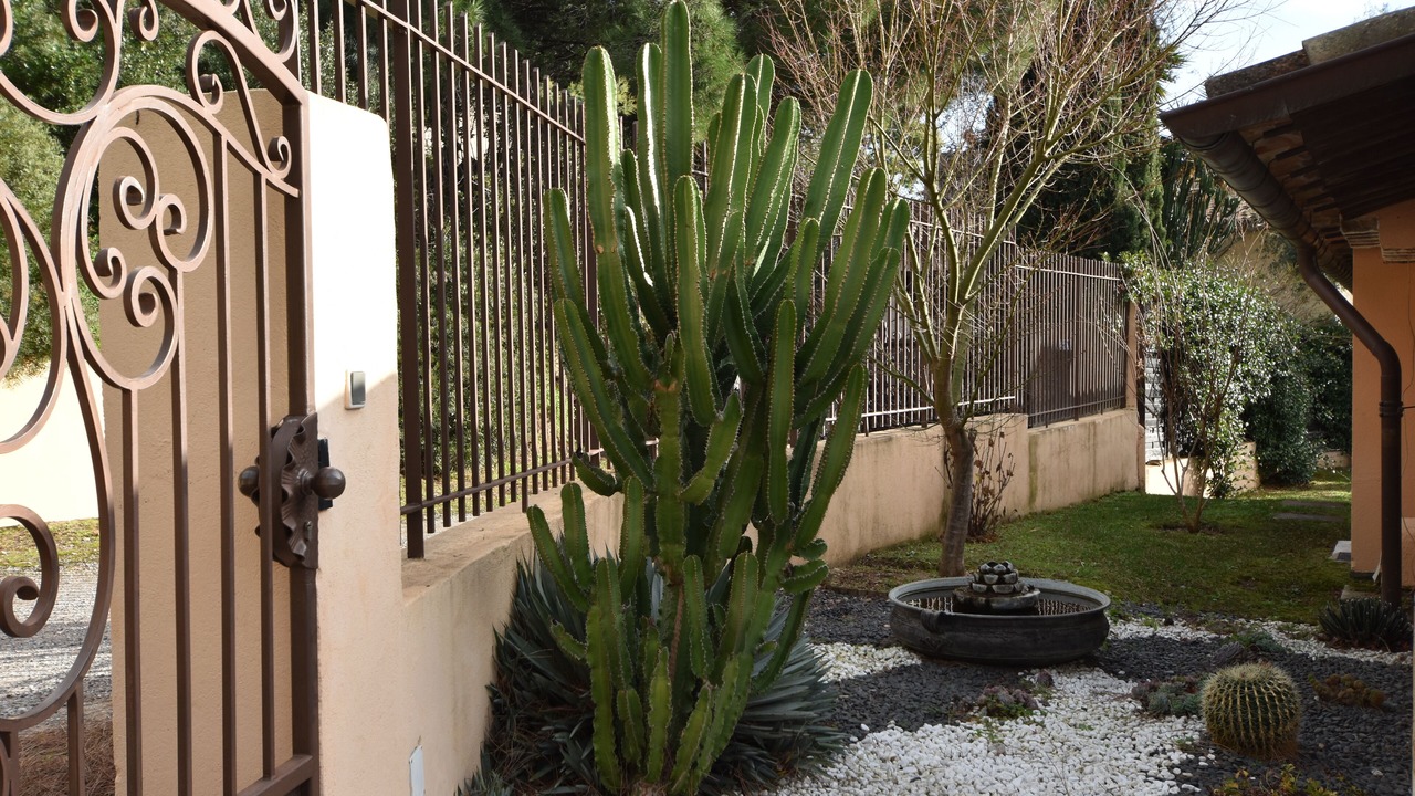 Photo of Outdoor in Cannes La Bocca