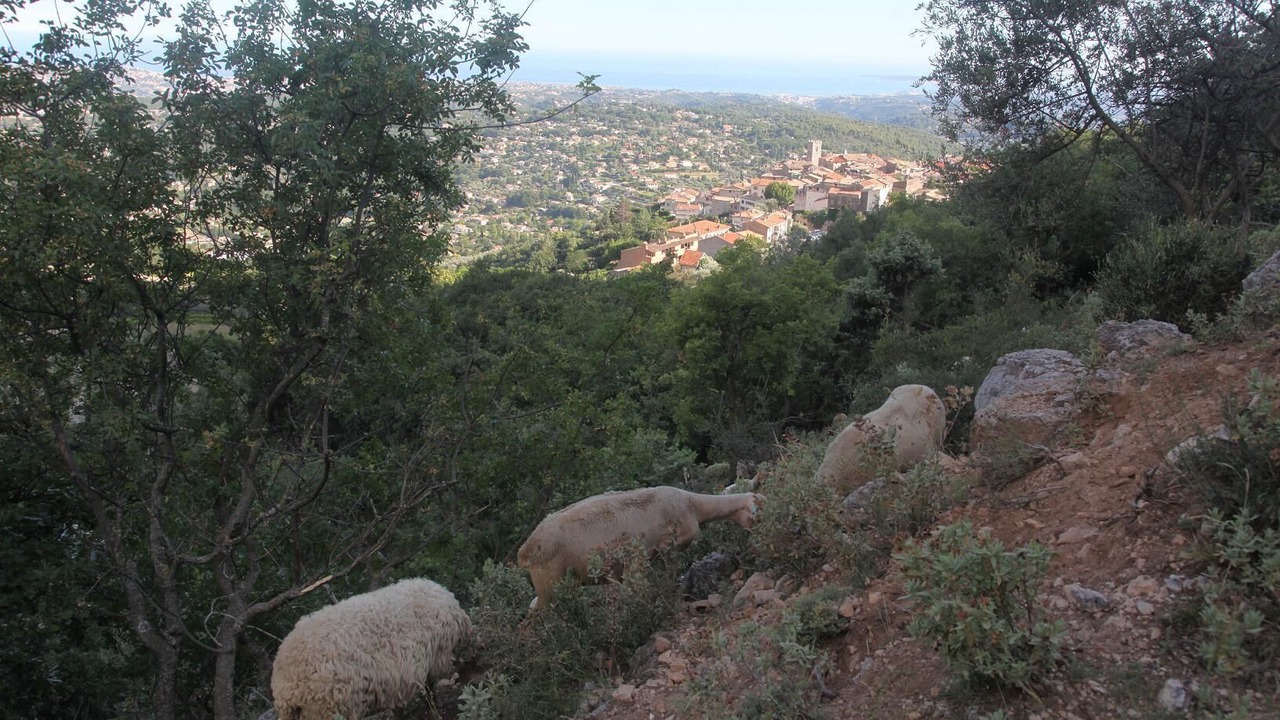 Photo of Outdoor in Saint-Jeannet