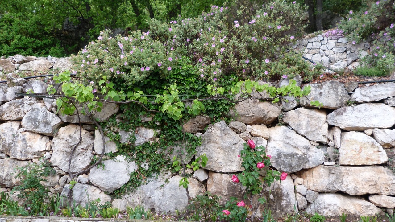 Photo of Outdoor in Saint-Jeannet