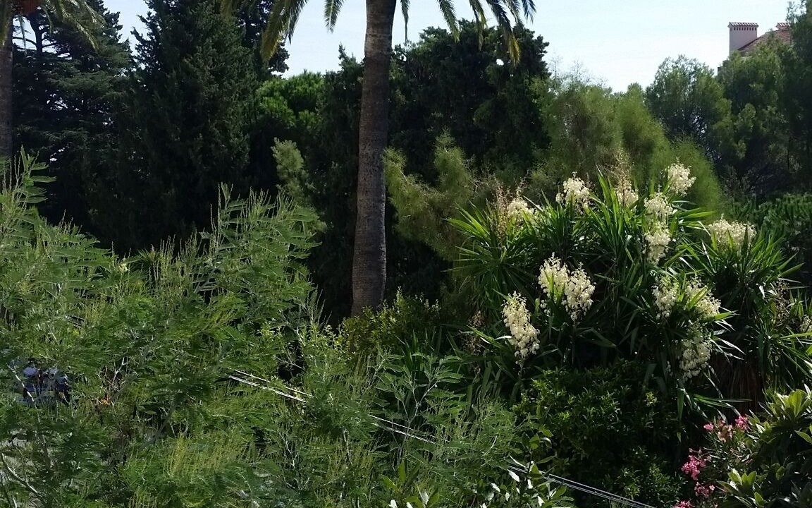 Photo of Outdoor in La Croix des Gardes