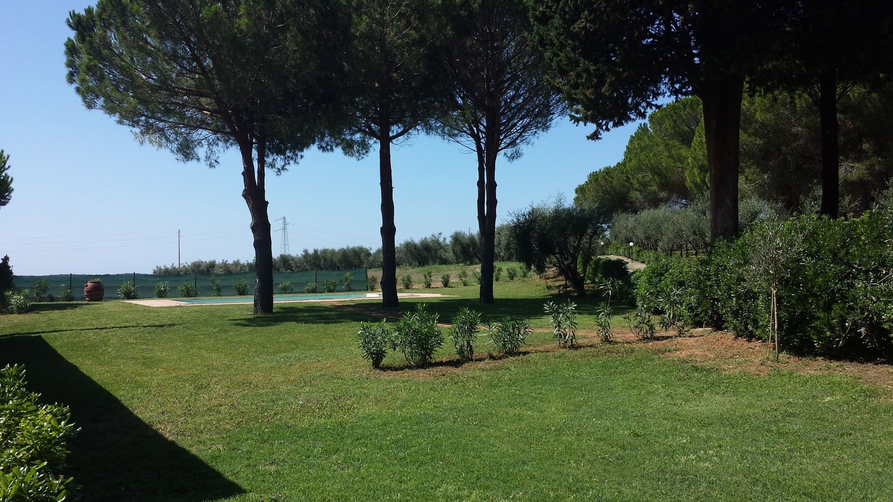 Photo of Outdoor in Mazzanta