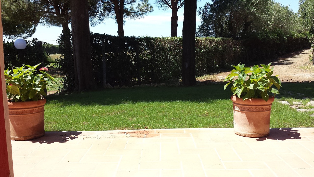 Photo of Outdoor in Mazzanta