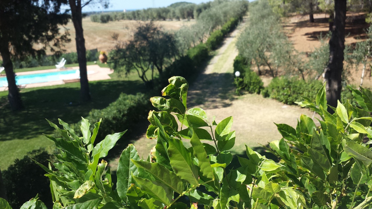 Photo of Outdoor in Mazzanta