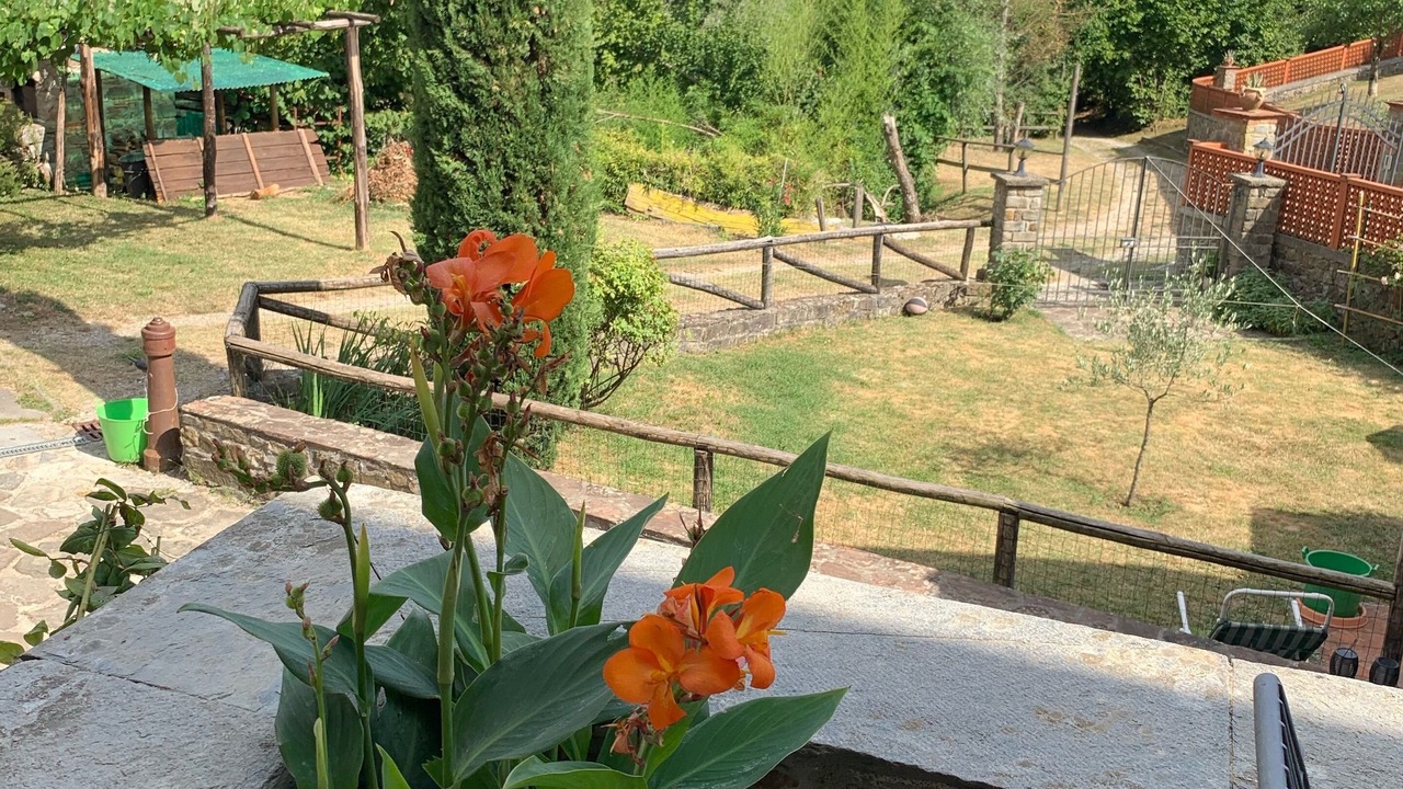 Photo of Outdoor in Bagni di Lucca