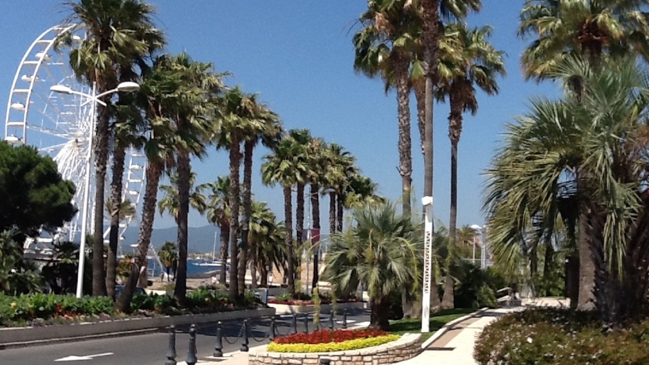 Photo of Others in Saint-Raphael
