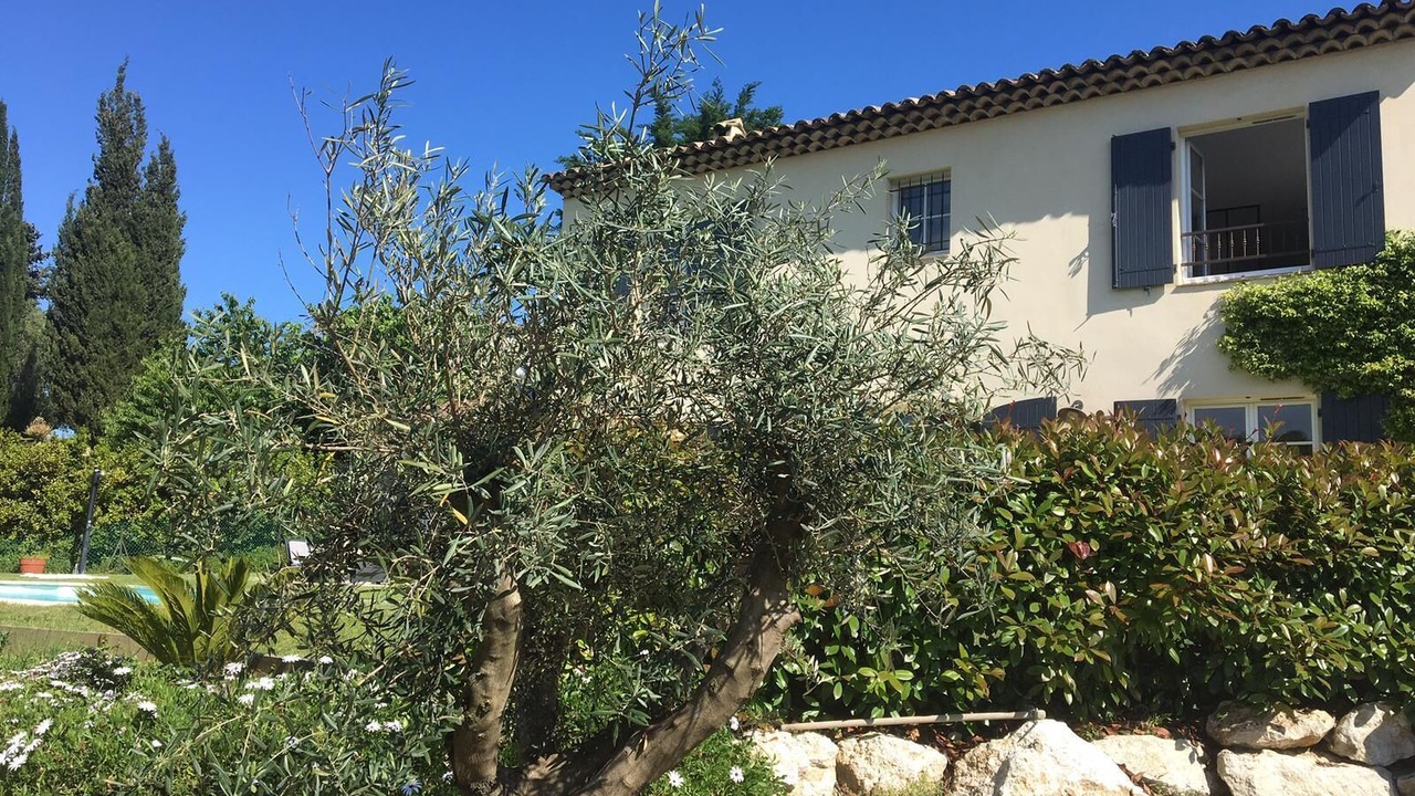Photo of Outdoor in Biot
