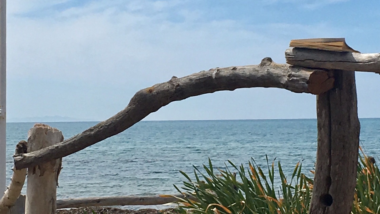 Photo of Others in San Vincenzo