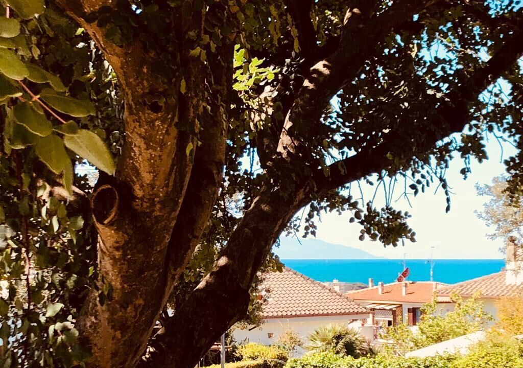 Photo of Outdoor in San Vincenzo