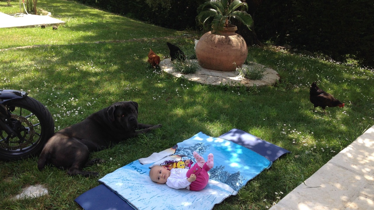 Photo of Outdoor in Les Maillans
