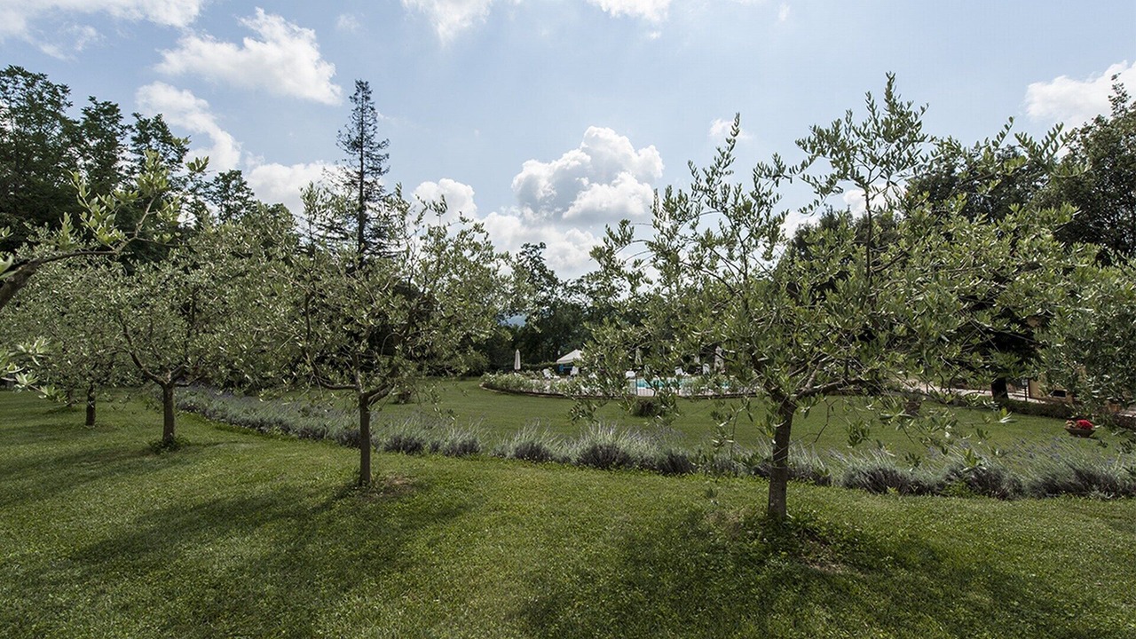 Photo of Outdoor in Camaiore