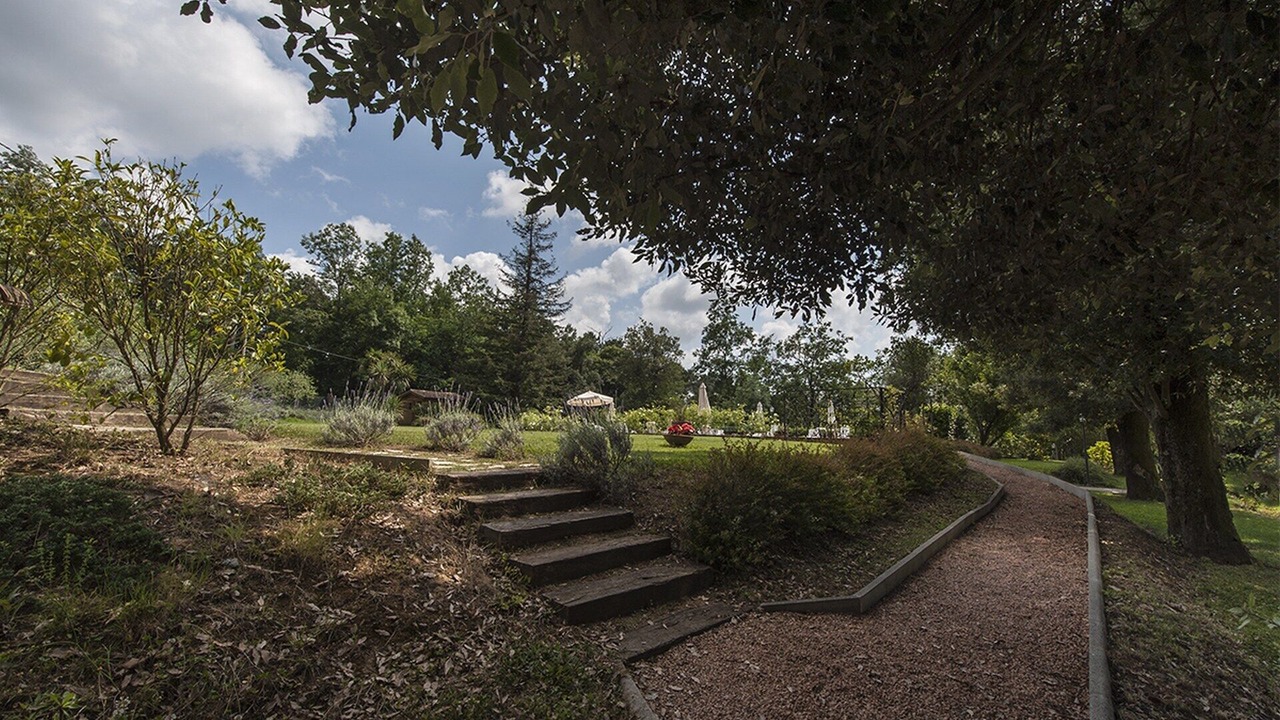 Photo of Outdoor in Camaiore
