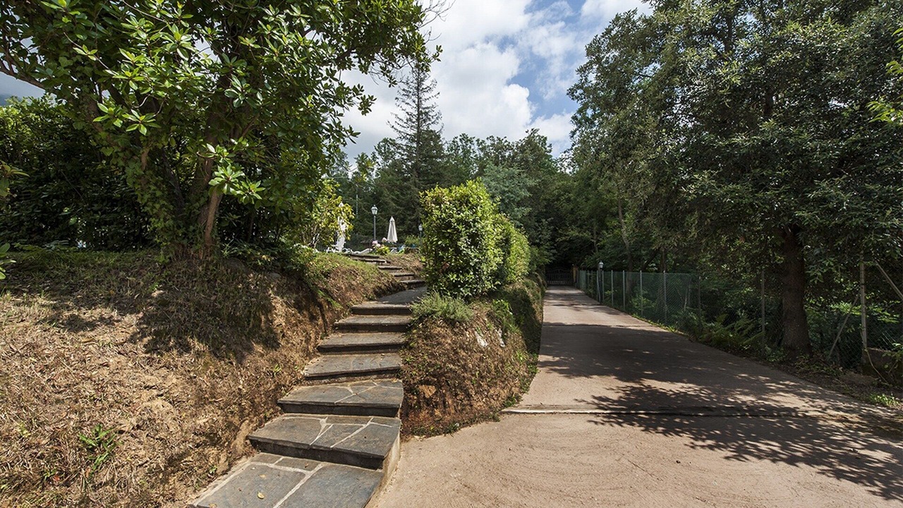 Photo of Outdoor in Camaiore