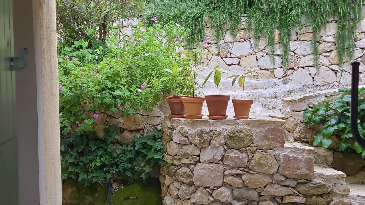 Photo of Others in Tourrettes-sur-Loup