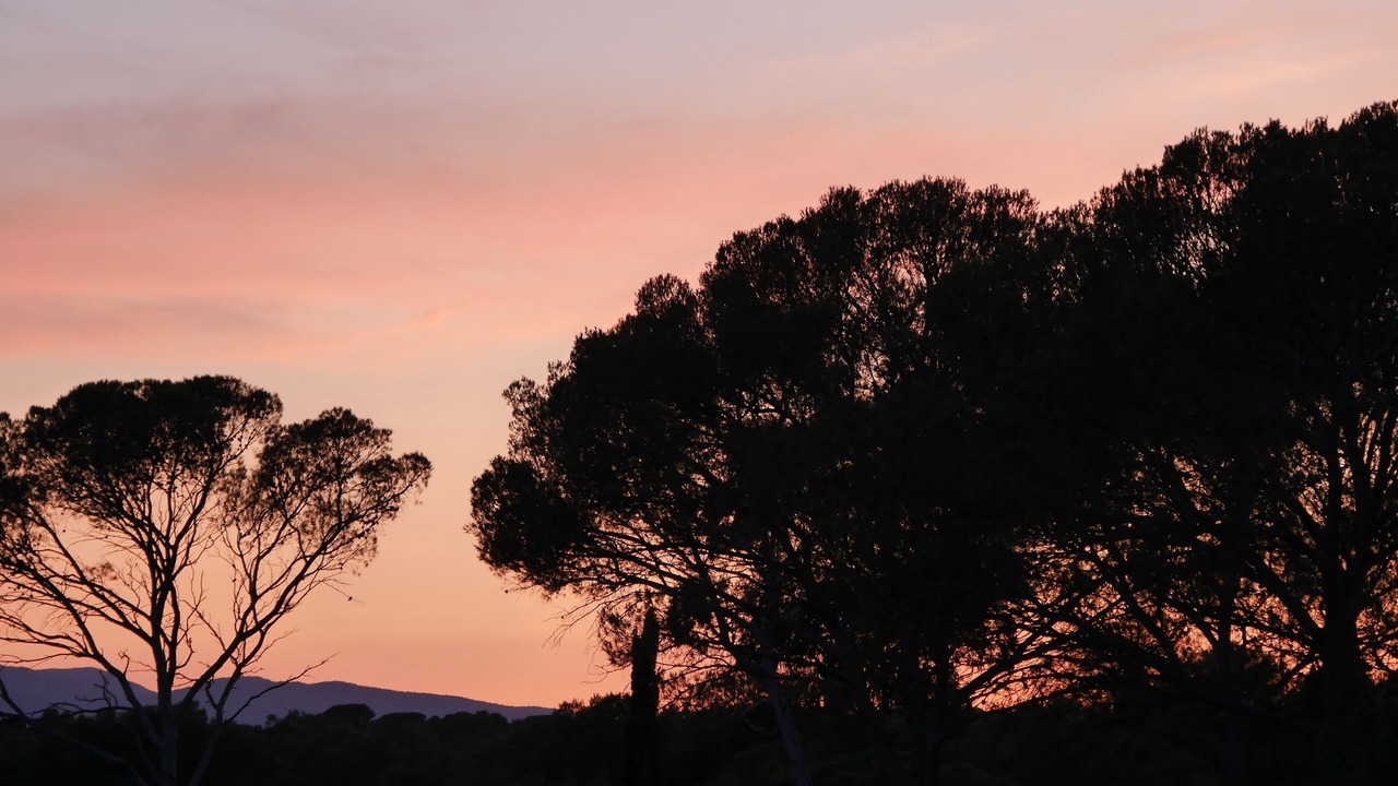 Photo of Outdoor in Boulouris-sur-Mer