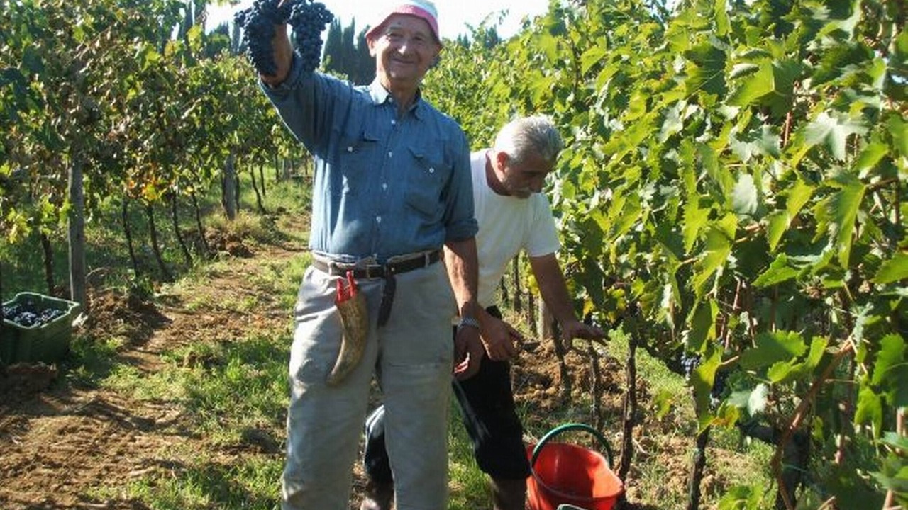 Photo of Others in Colle di Val d'Elsa