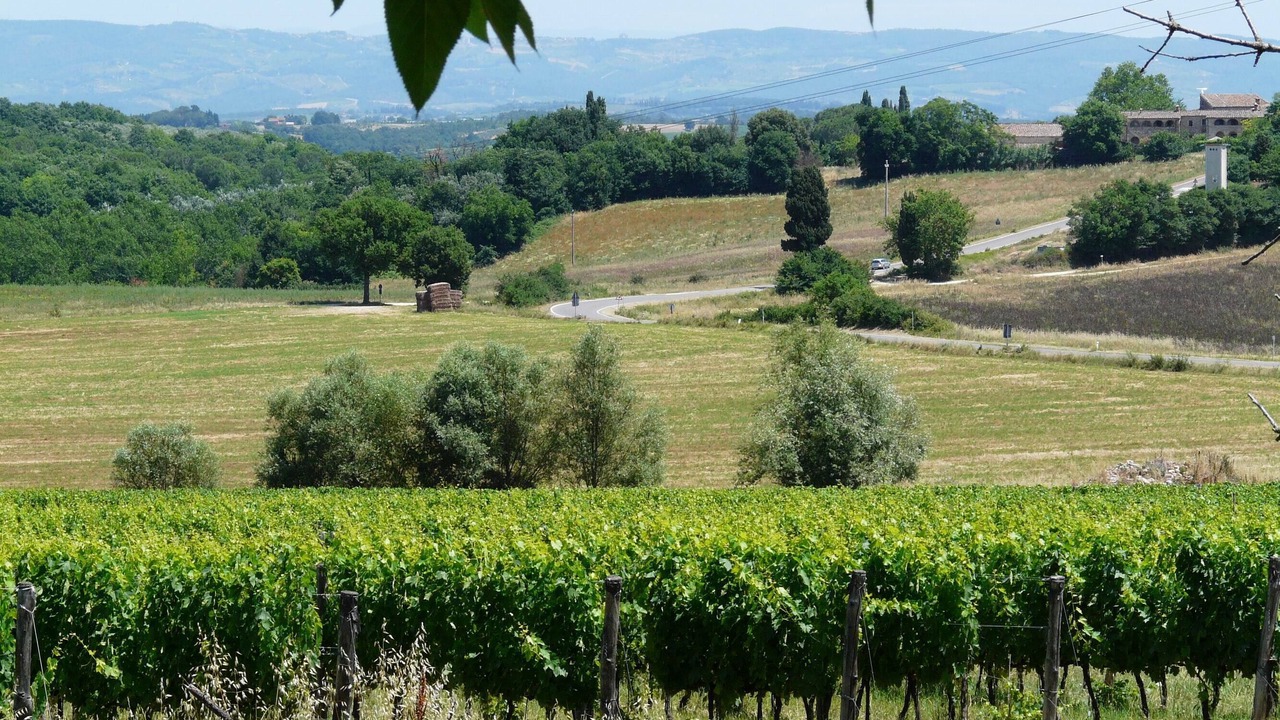 Photo of Outdoor in Colle di Val d'Elsa