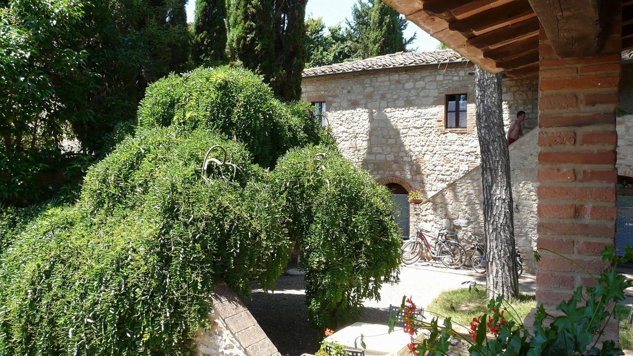 Photo of Outdoor in Colle di Val d'Elsa