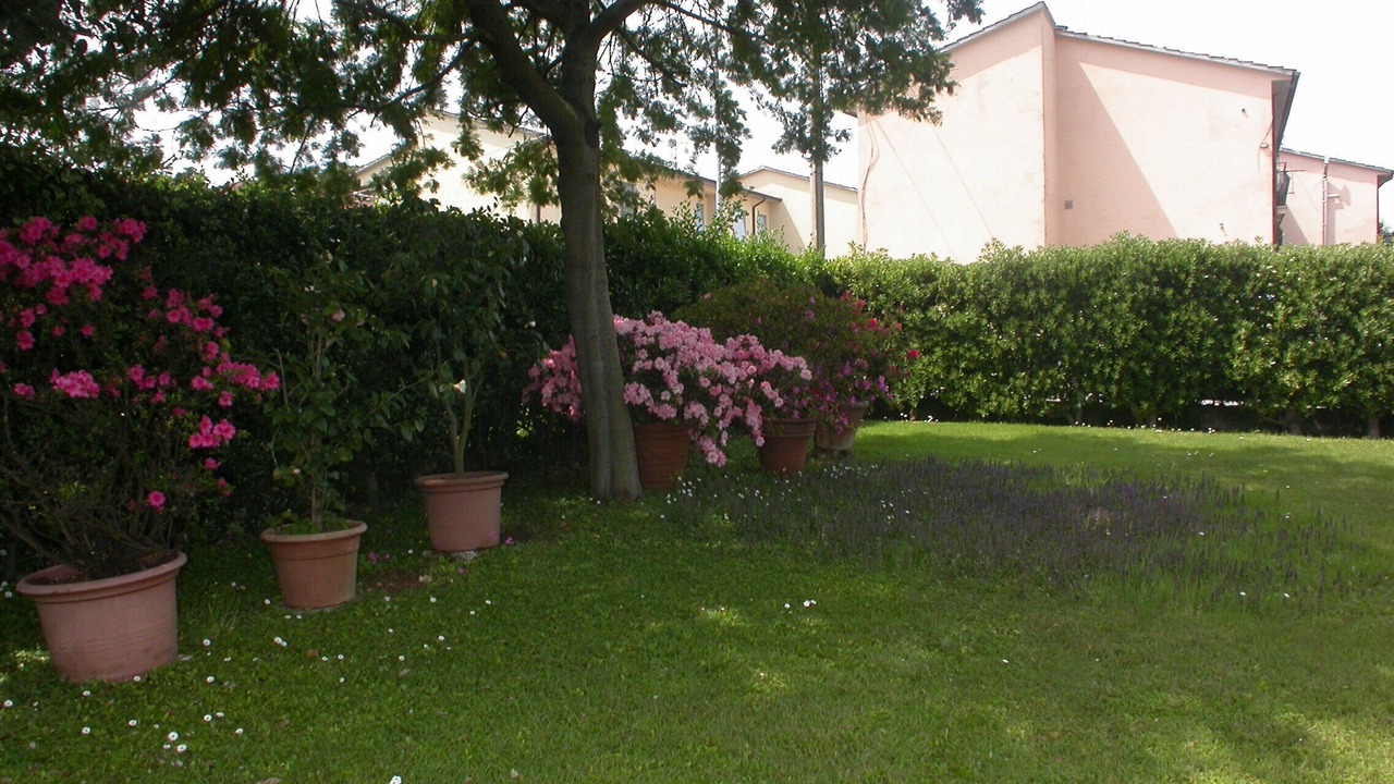 Photo of Outdoor in Marina di Pietrasanta