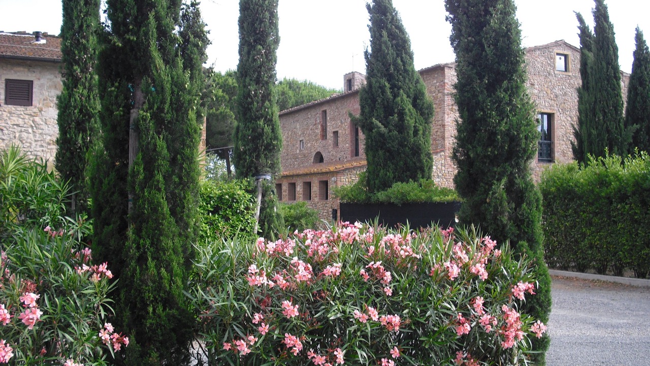 Photo of Outdoor in Bibbona